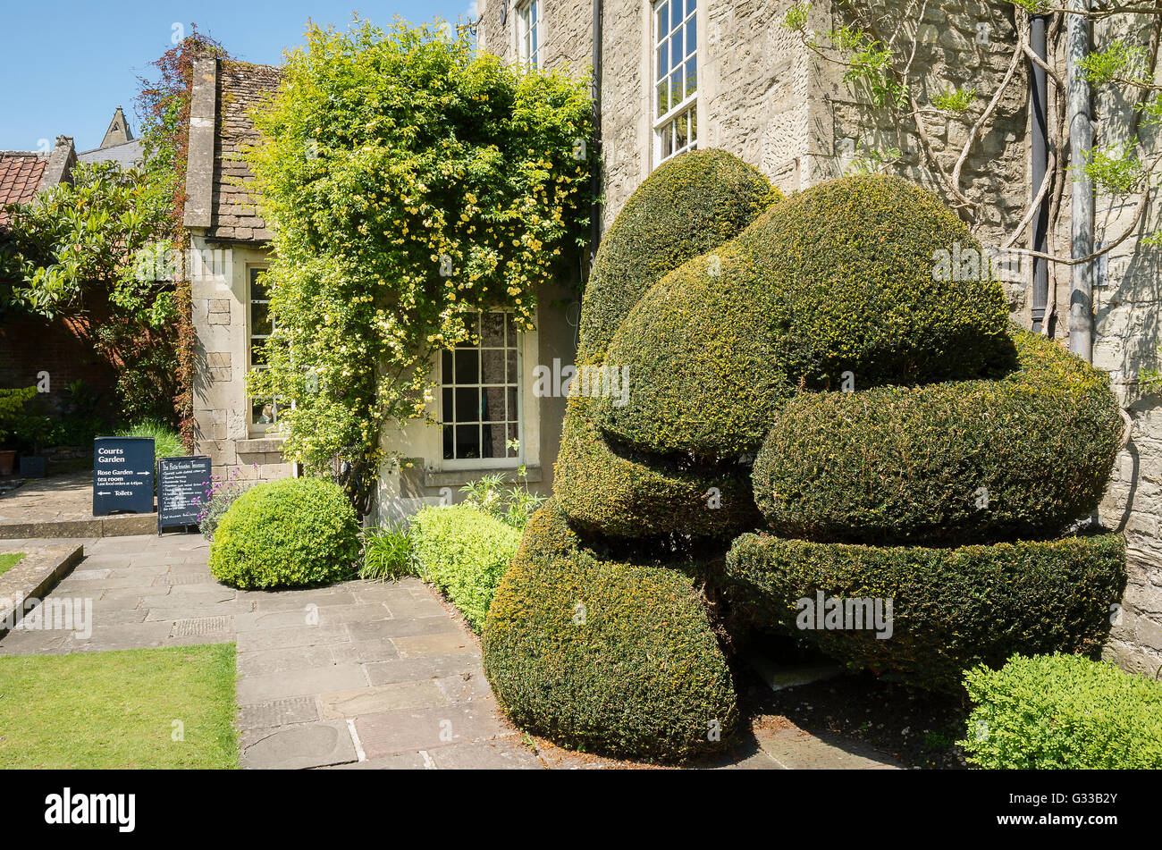 Ornate topiary at the Courts garden Stock Photo