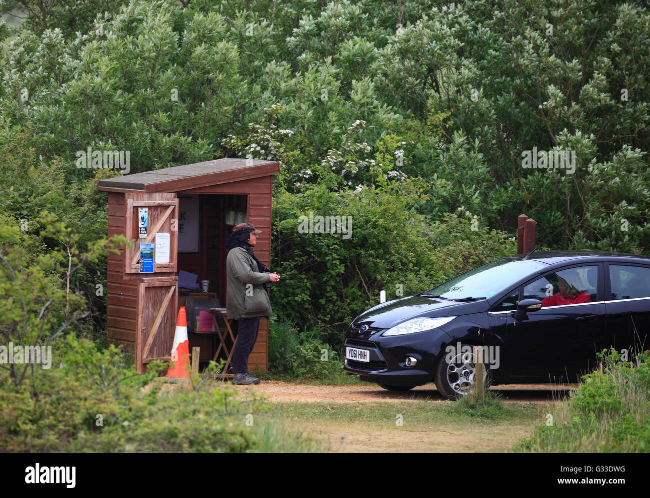 Parking attendant emerging to take fee for a ticket at Holme dunes nature reserve in Norfolk. Stock Photo