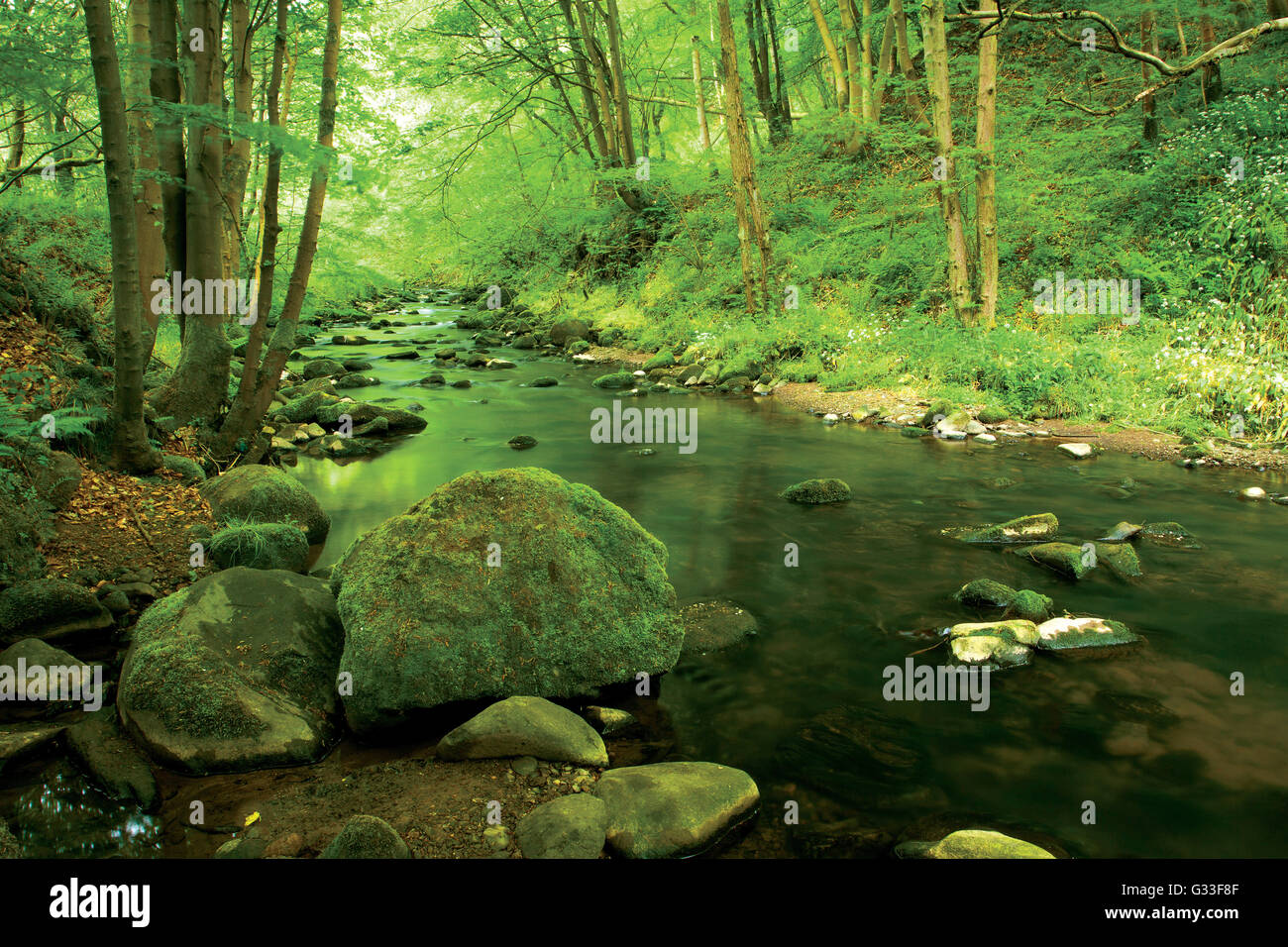 The River South Esk, Gore Glen, Dalkeith, Midlothian Stock Photo Alamy