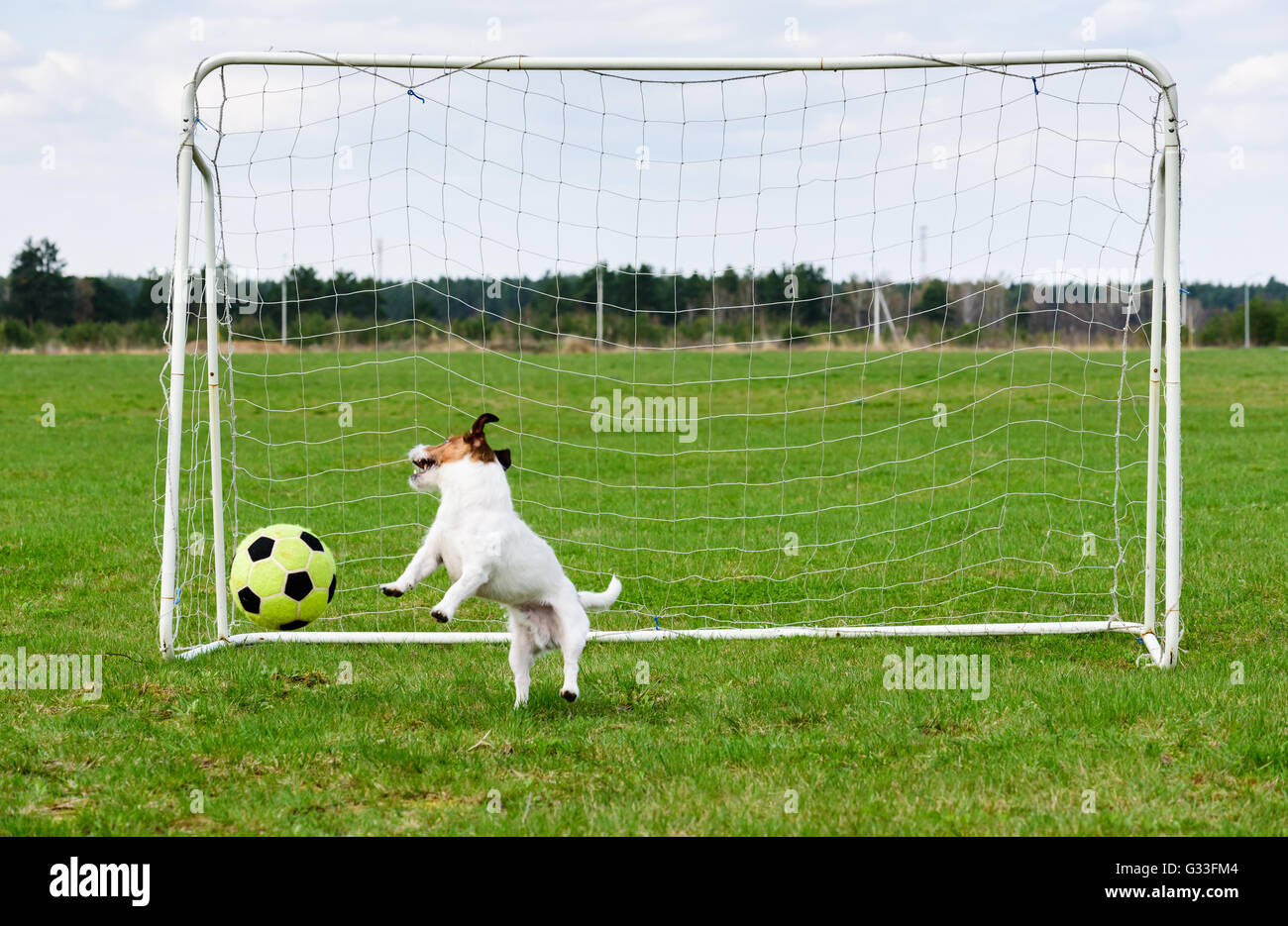Scoring soccer goal to funny keeper at football pitch Stock Photo