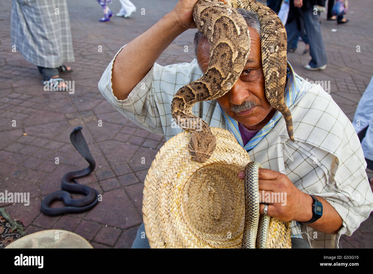 Snake charmer in Jemaa el-Fnaa square Marrakesh, Morocco Stock Photo