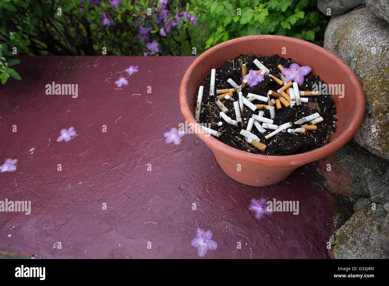 what happens if you smoke a stale cigarette Why is smoking so bad for you?