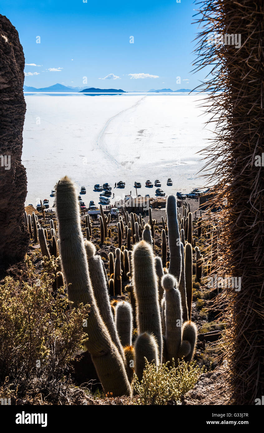 Isla de Pescadores, Salt lake Uyuni in Bolivia Stock Photo