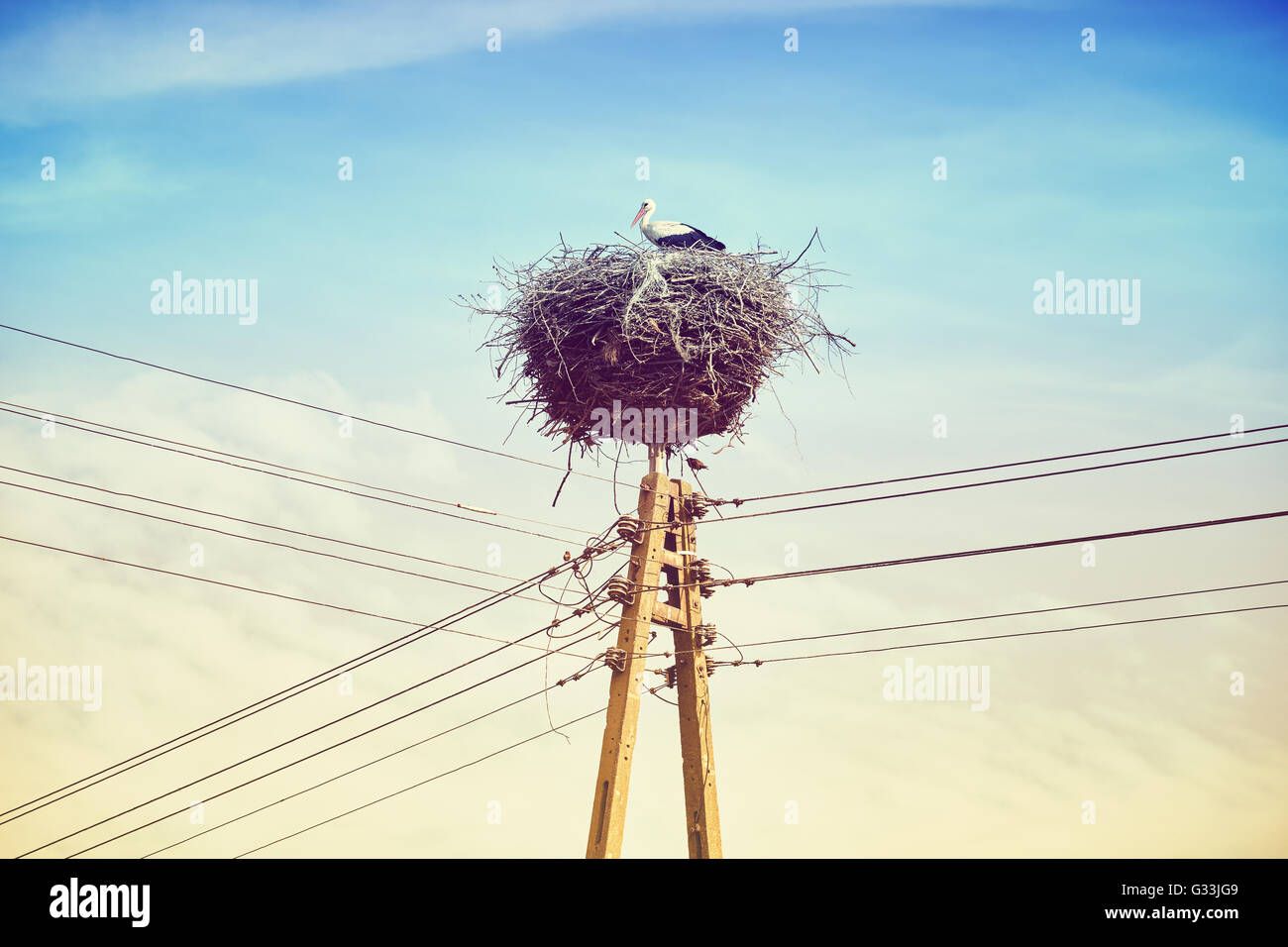 Retro toned stork in nest on a power line pole. Stock Photo