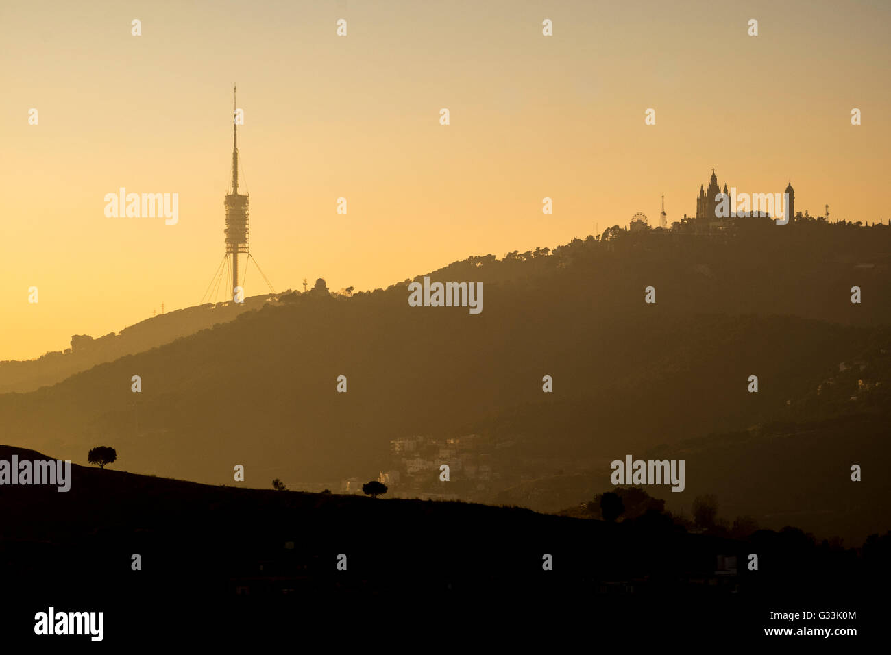 Collserola forest hi-res stock photography and images - Alamy