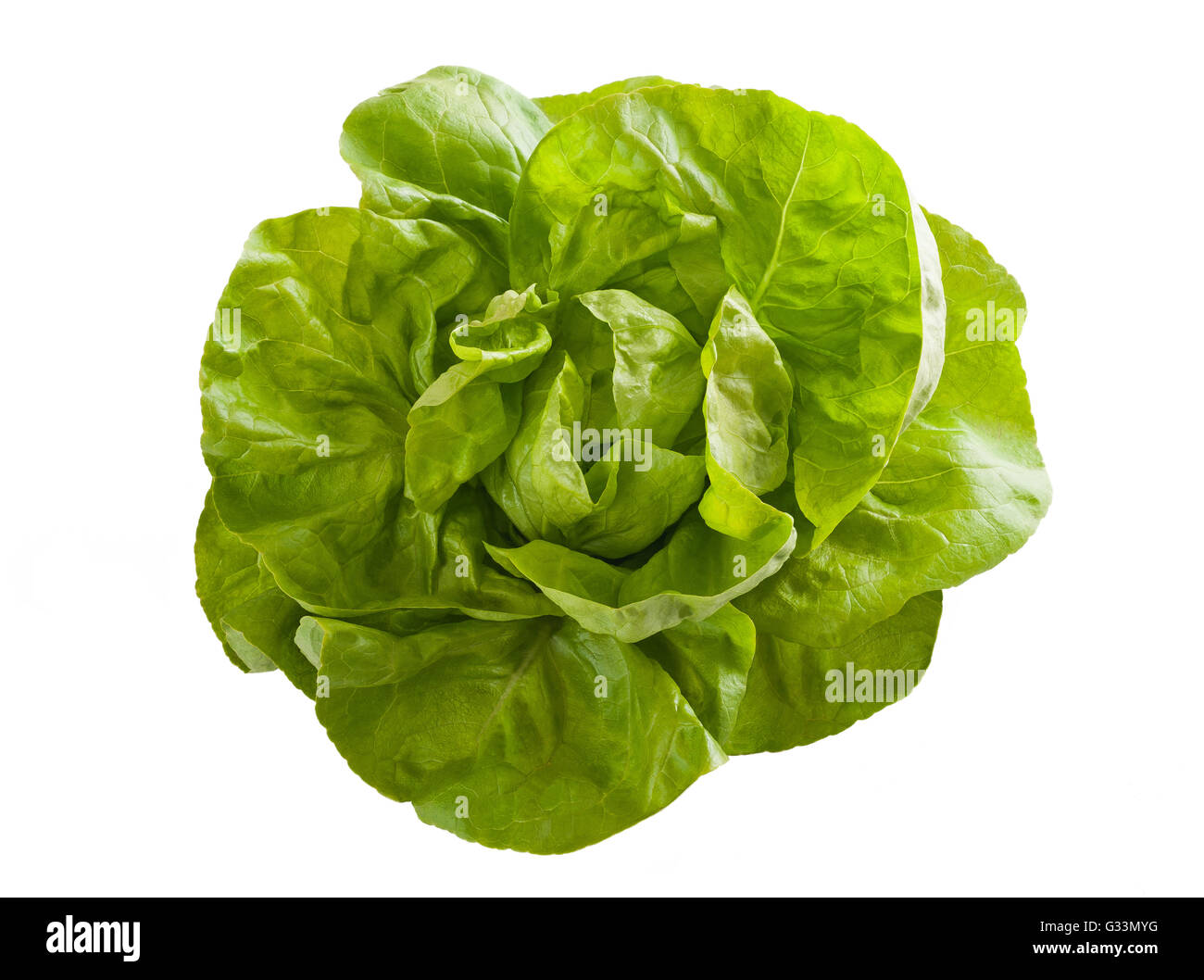 lettuce cap isolated on white Stock Photo