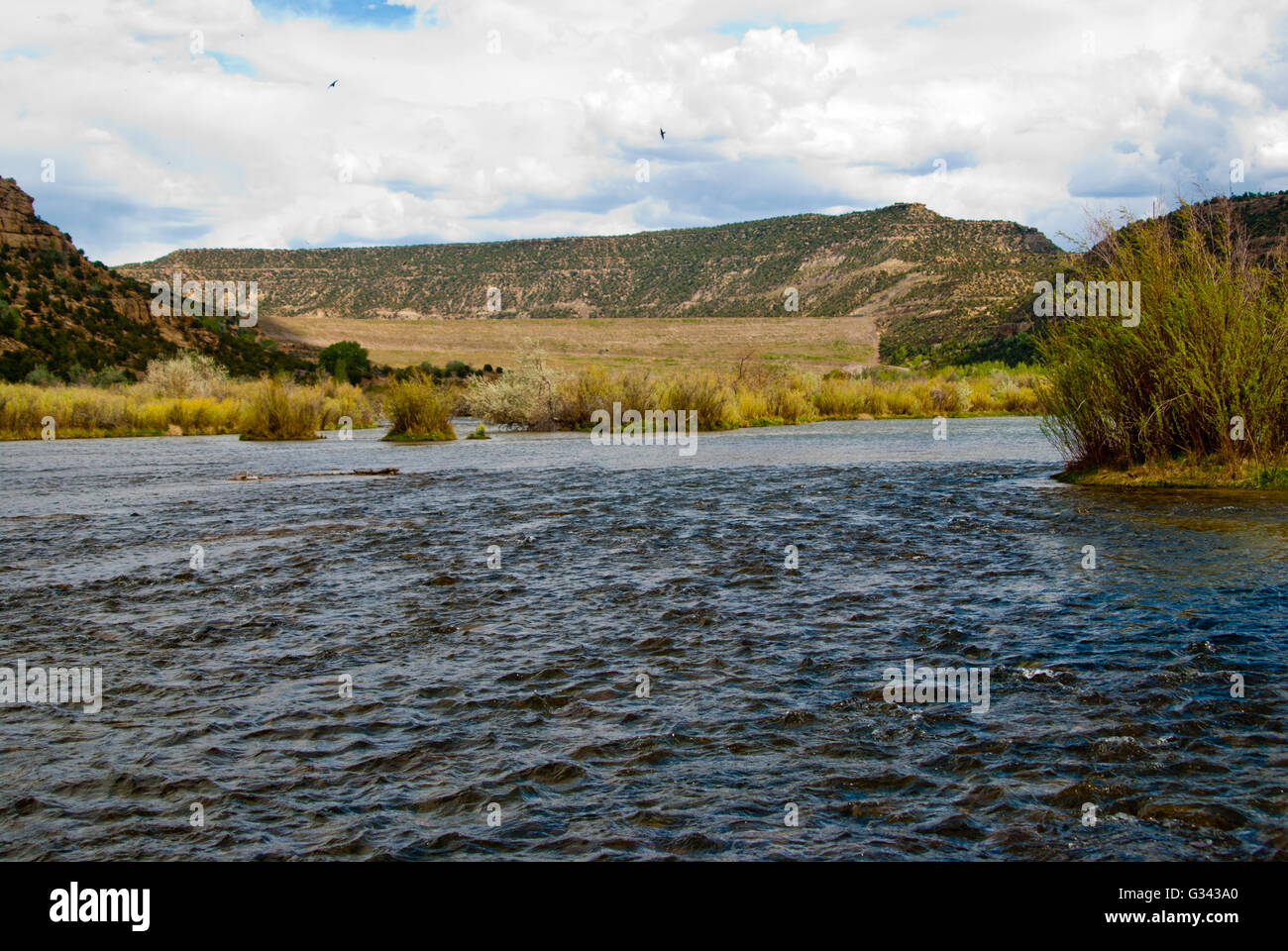 San Juan River, one of the best trout fly fisheries in the united