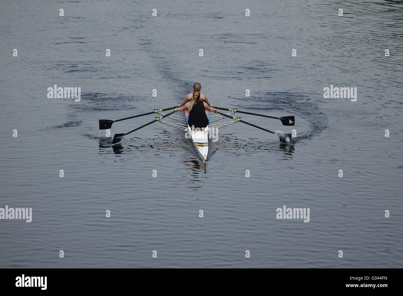 Double Scull Rowers Stock Photo