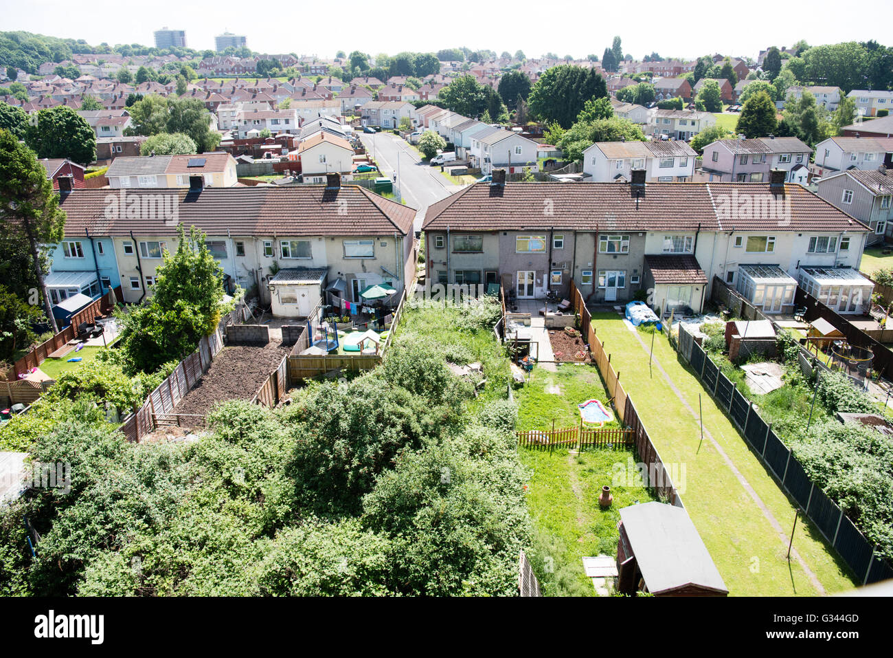 airal-view-of-a-row-of-1950s-council-houses-back-gardens-with-an