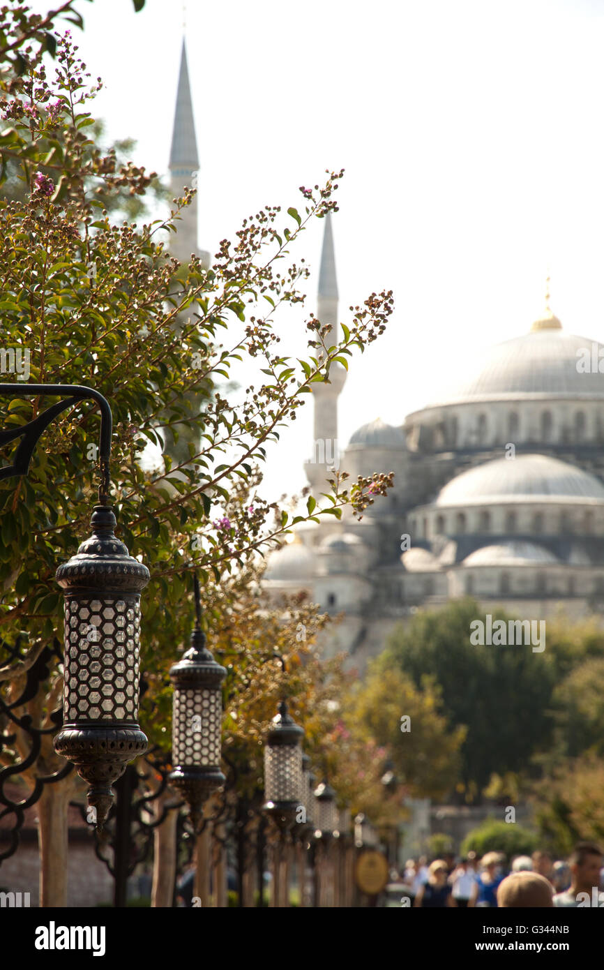 The Blue Mosque, Sultanahmet Camii nice view from the park, Istanbul ...