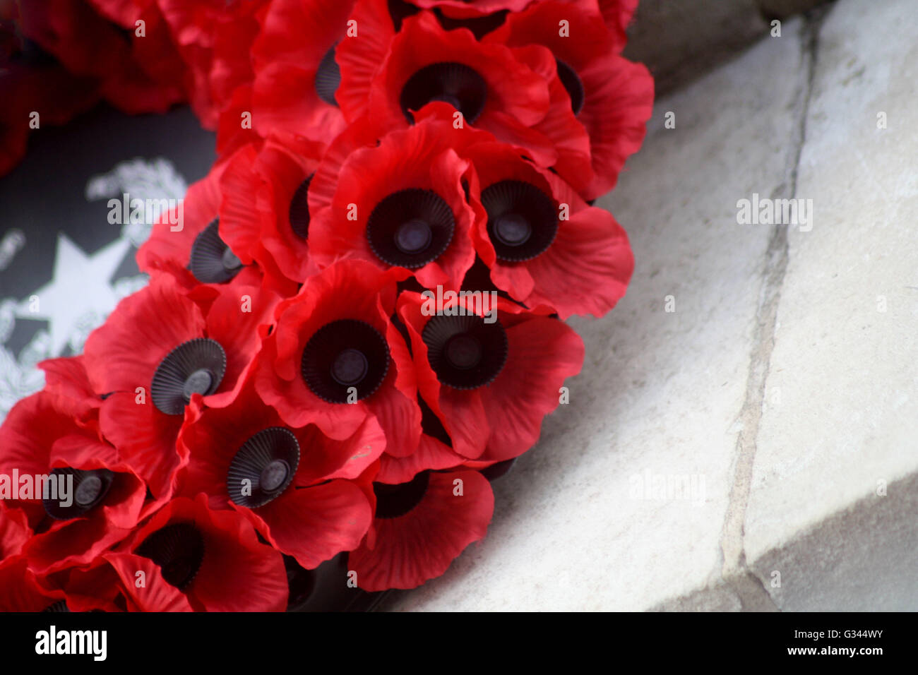 Remembrance day scene Stock Photo