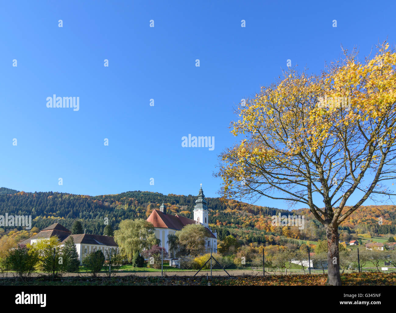 monastery Engelszell : Collegiate Church, Austria, Oberösterreich, Upper Austria, , Engelhartszell Stock Photo