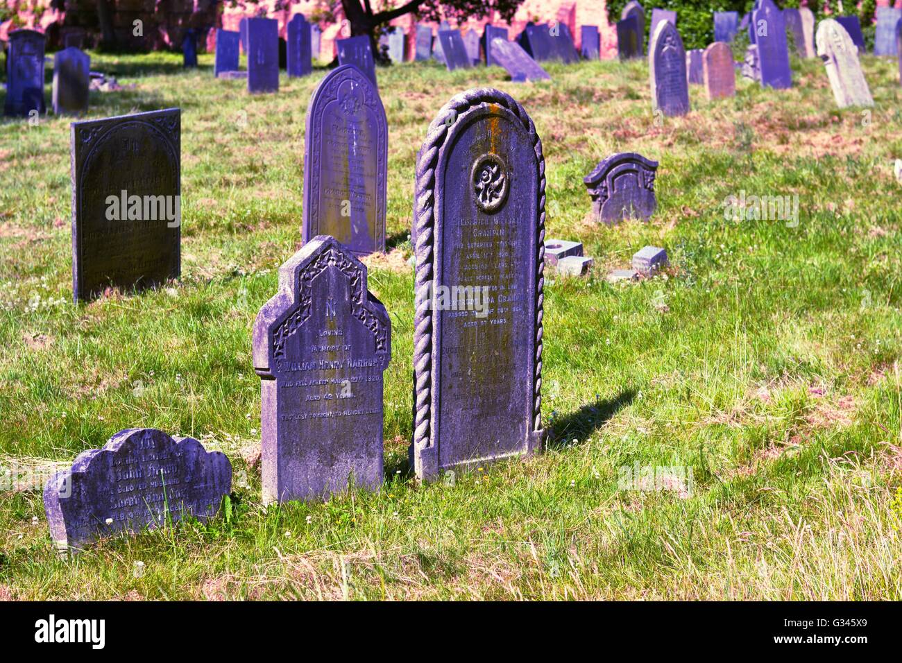 Purple Headstones High Resolution Stock Photography and Images - Alamy