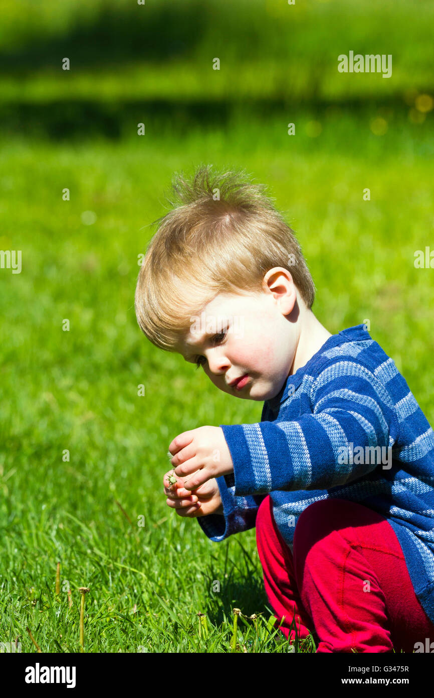 Toddler sitting on grass Stock Photo