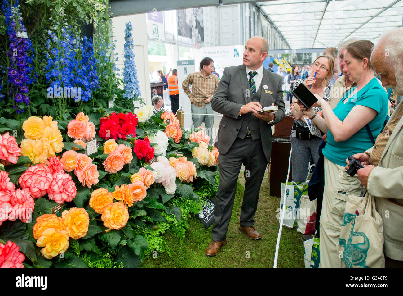 Rhs Chelsea Flower Show 2016 Blackmore Langdon Begonias And Delphiniums Stock Photo Alamy