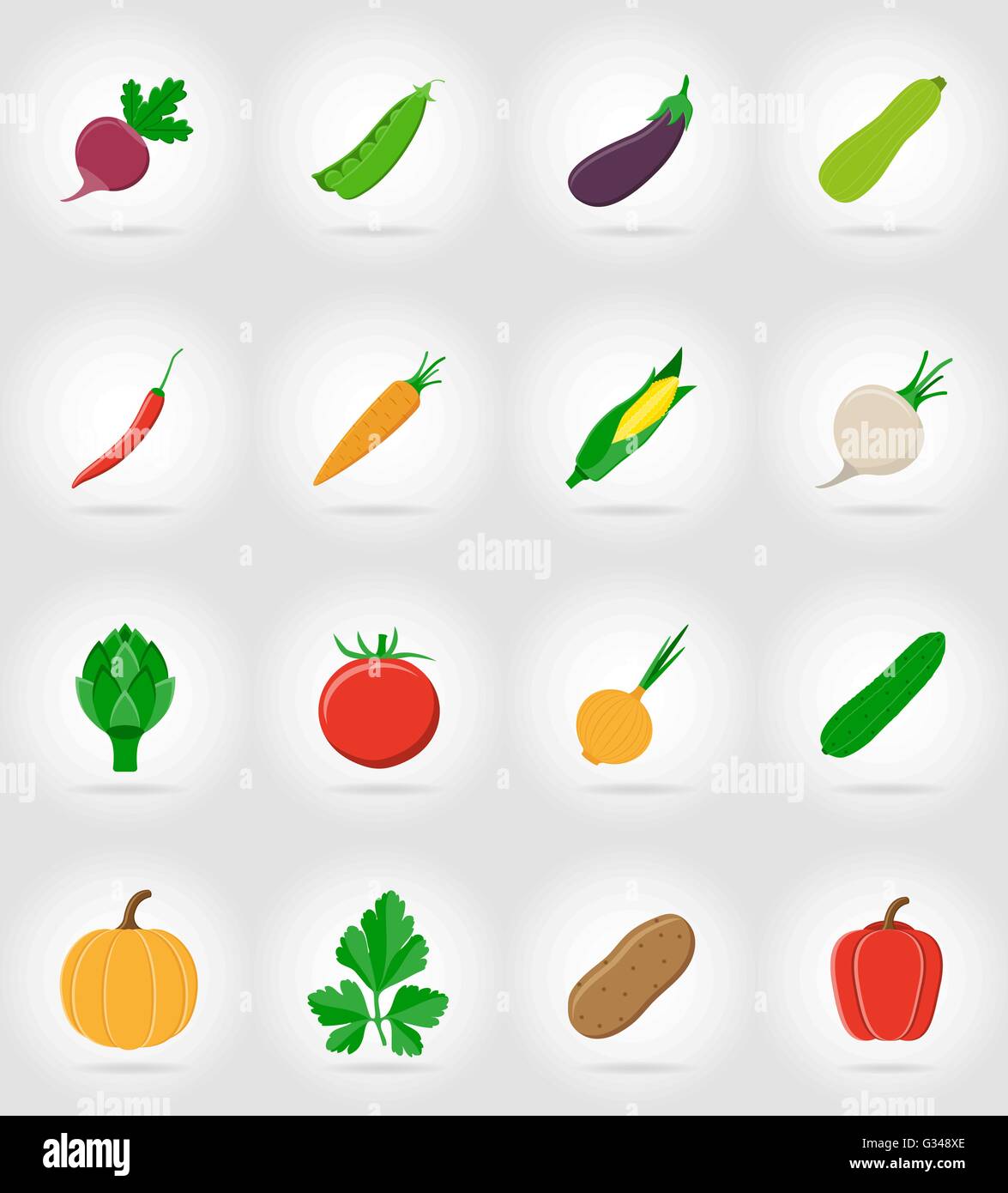 vegetables flat icons with the shadow vector illustration isolated on ...