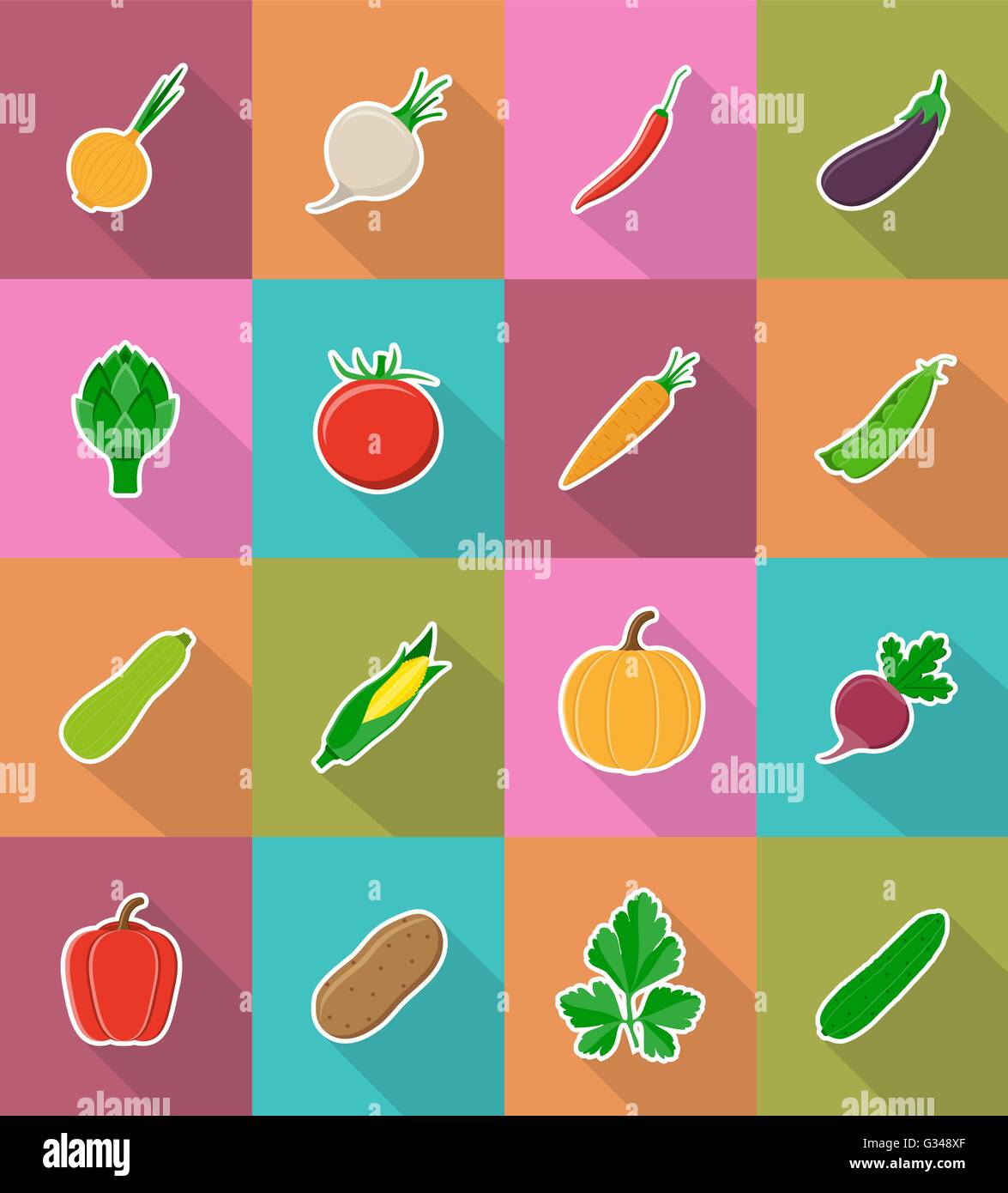 vegetables flat icons with the shadow vector illustration isolated on ...