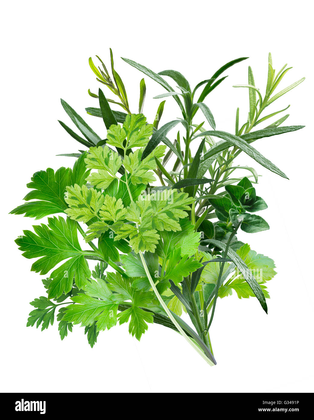 Herbes de Provence, a combination of Parsley,Chervil, Tarragon
