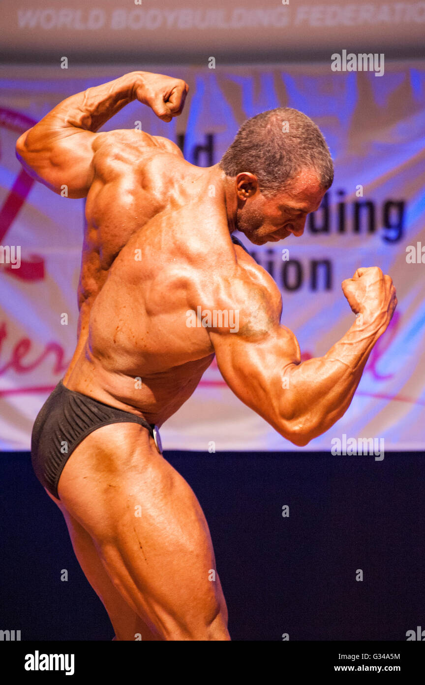 MAASTRICHT, THE NETHERLANDS - OCTOBER 25, 2015: Male bodybuilder flexes his muscles and shows his best physique in a back pose Stock Photo