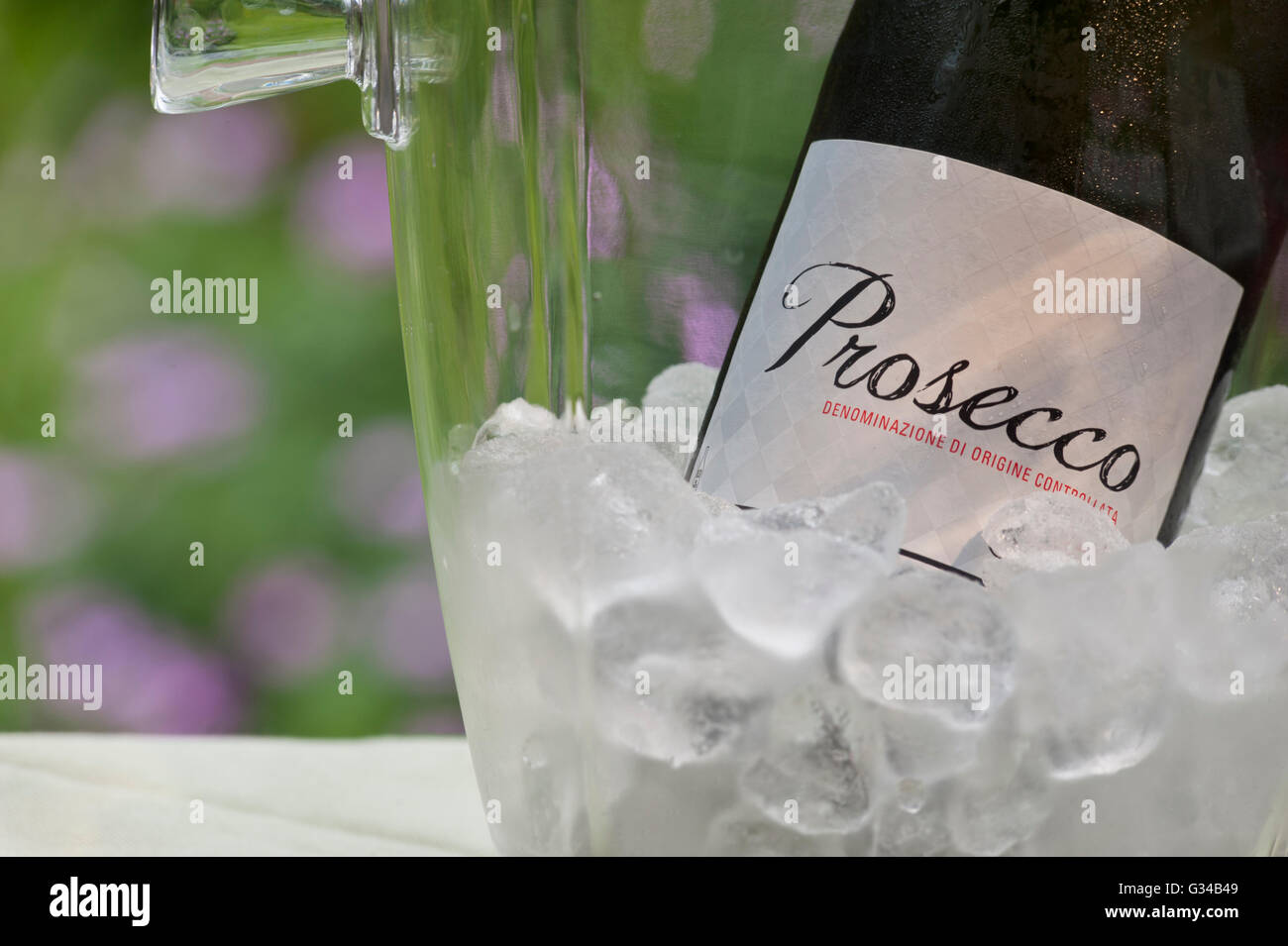 Prosecco sparkling wine bottle in wine cooler with ice cubes in alfresco garden situation on terrace table, flowers behind Stock Photo