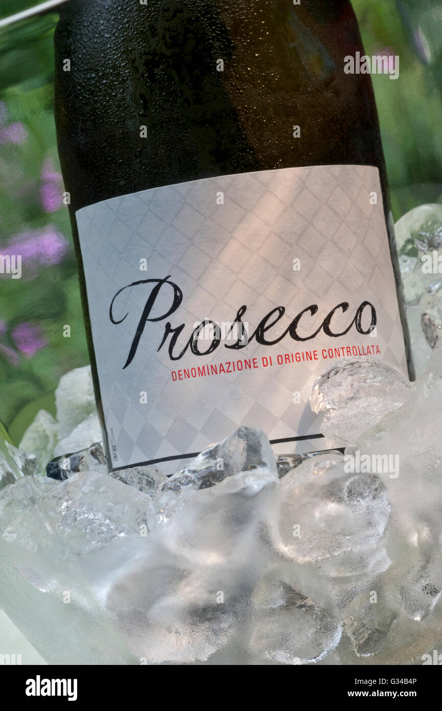 PROSECCO ICE BUCKET Close-up sunlit cool Bottle of Prosecco in clear wine cooler with ice cubes in alfresco situation on terrace table flowers behind Stock Photo