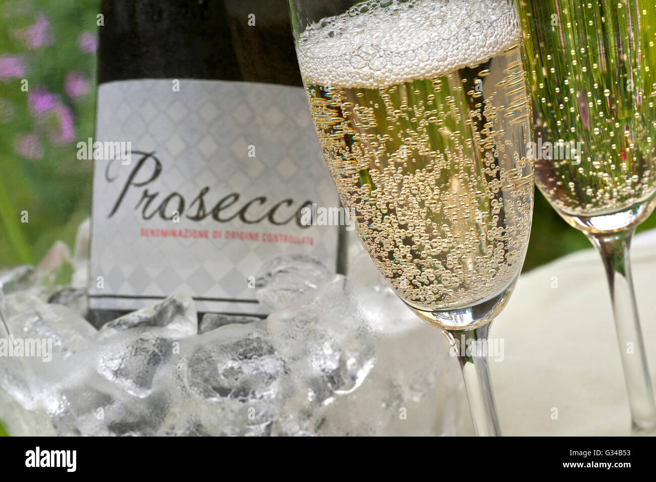 PROSECCO ALFRESCO Closeup on freshly poured glasses of Prosecco with