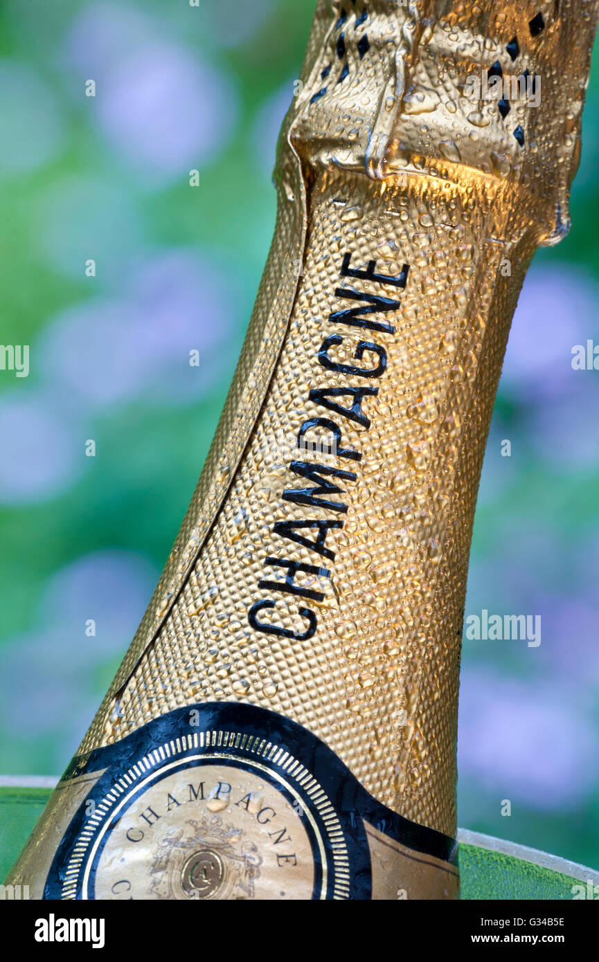 Close view on cold Champagne bottle in wine cooler in alfresco summer garden situation Stock Photo