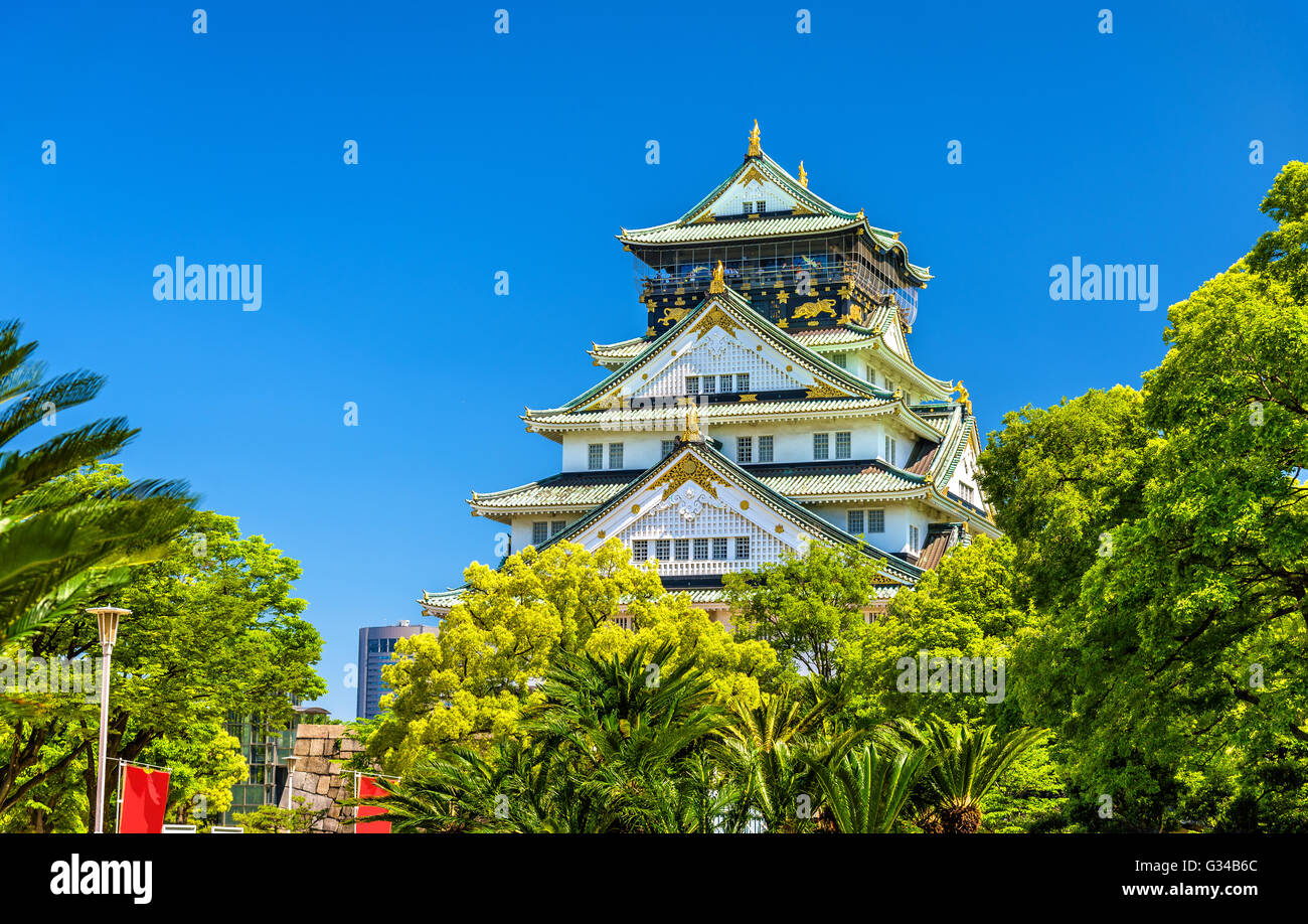 View of Osaka Castle in Japan Stock Photo