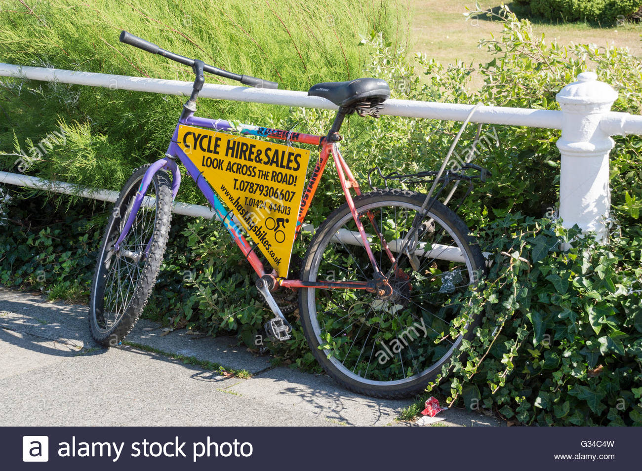push bike sales