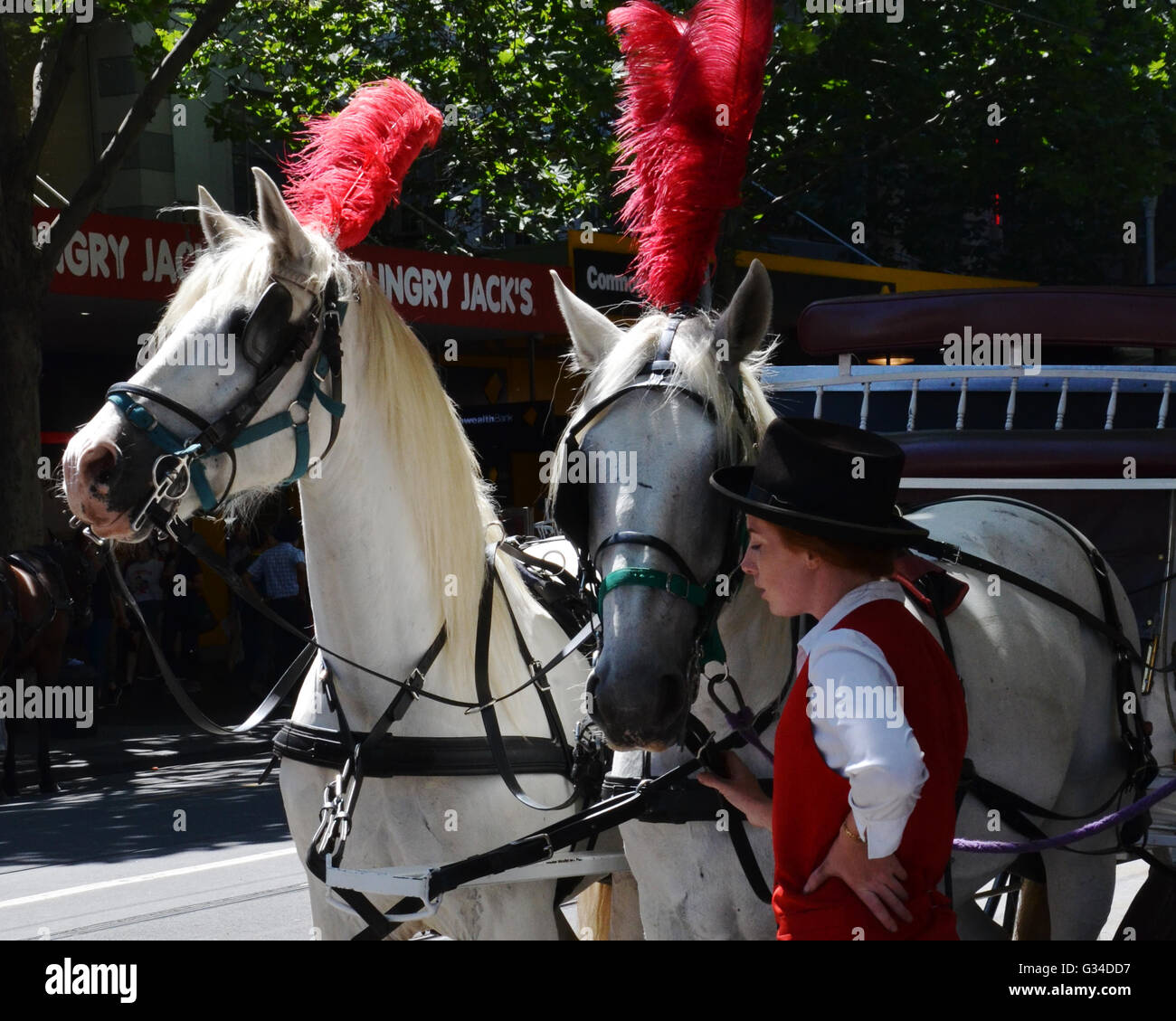 Horse and Carriage, Melbourne Stock Photo