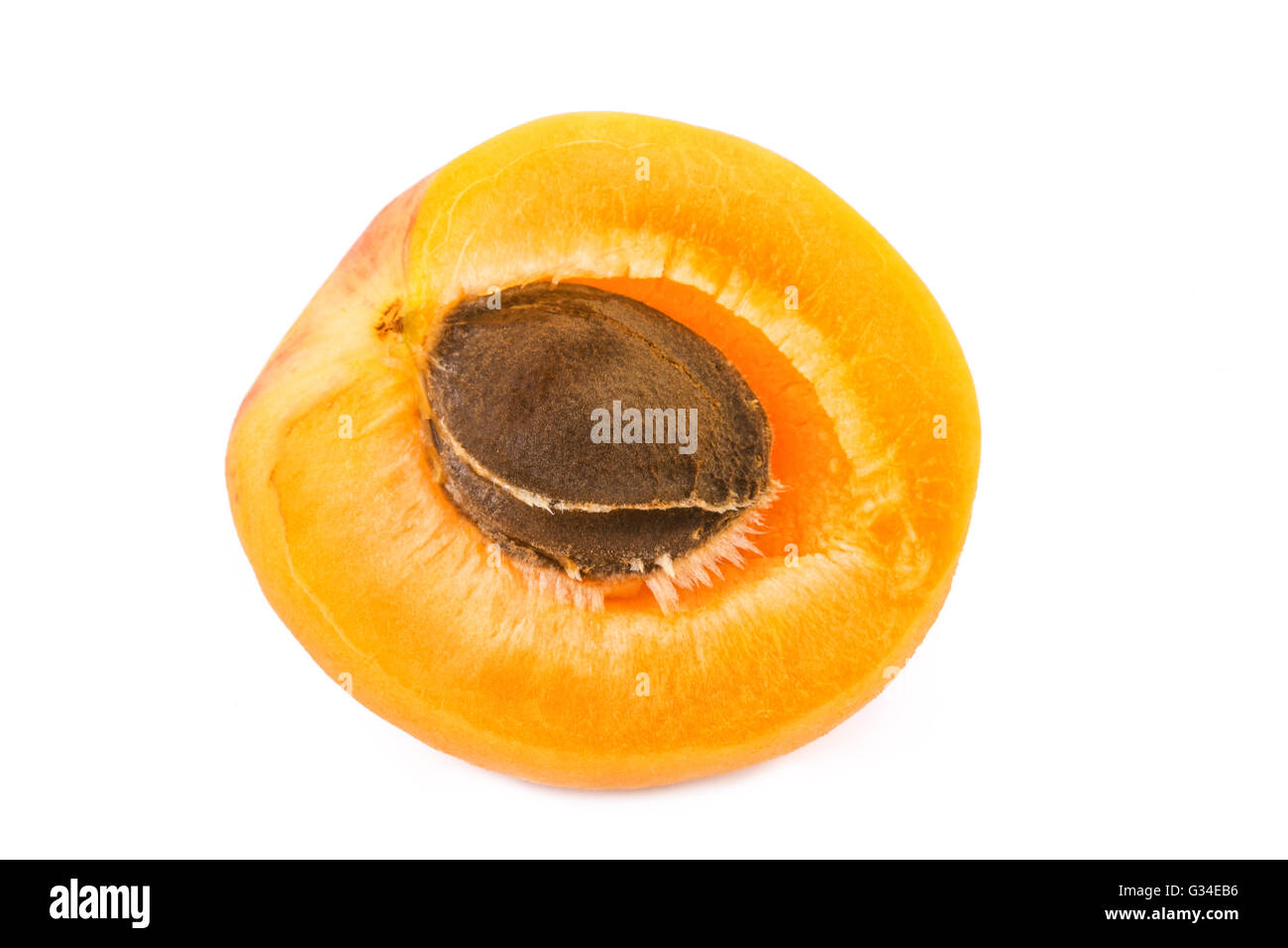 Apricot half with fruit kernel on white background. Closeup Stock Photo