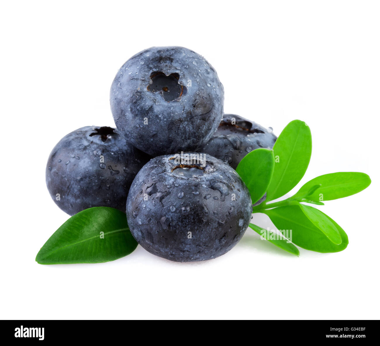 Fresh blueberries on white. Organic blueberries with leaf isolated on white. Stock Photo