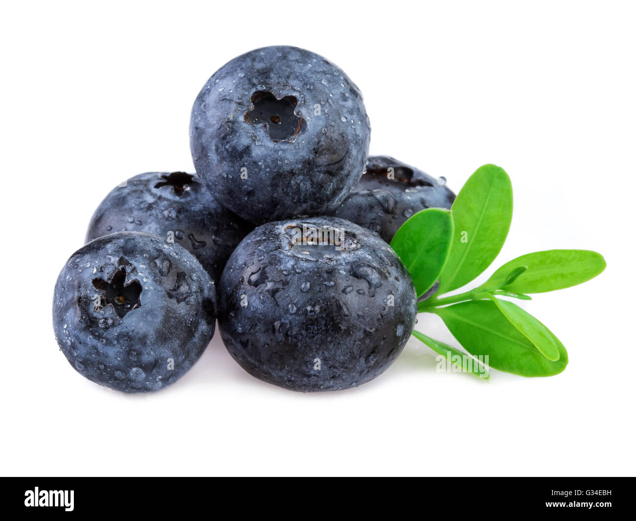 Blueberries with leaf isolated on white Stock Photo