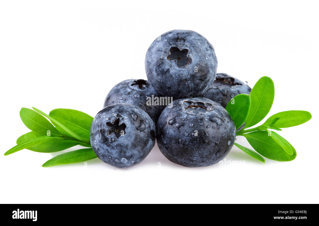 Organic blueberries with leaf isolated on white. Stock Photo