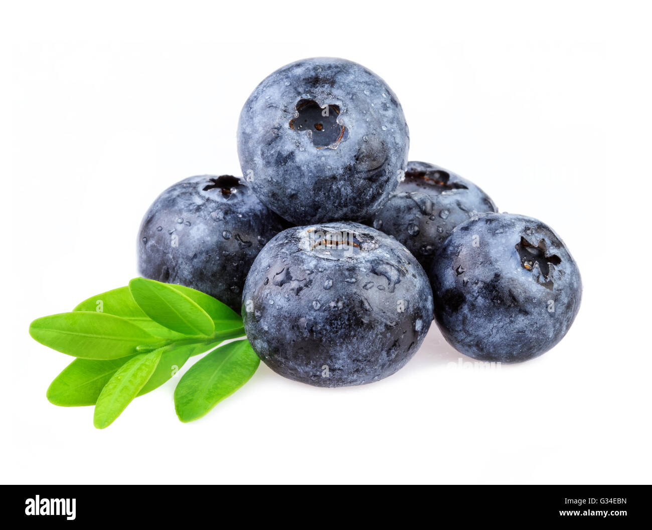 Fresh Blueberry. Organic blueberry isolated on white background. Stock Photo