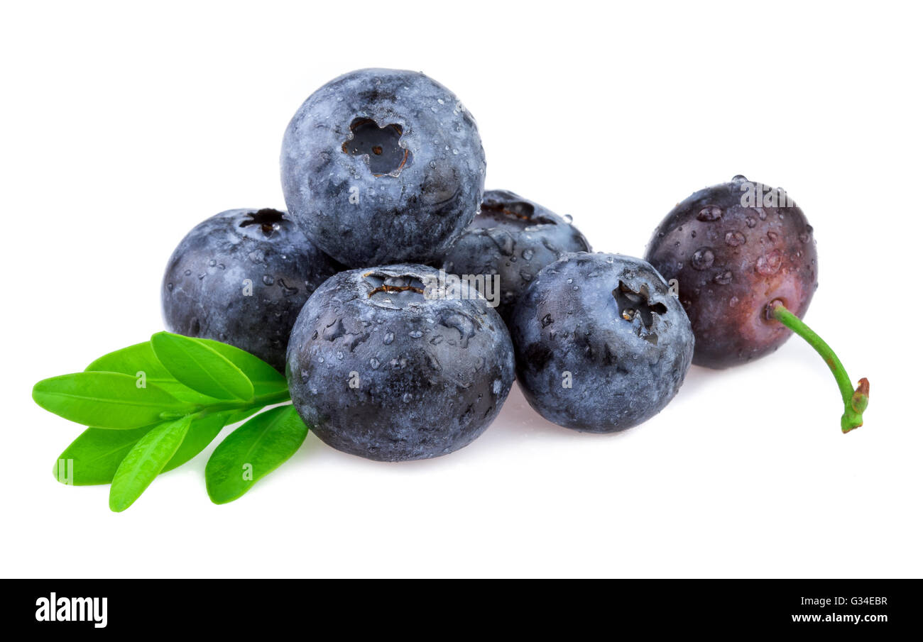 Organic blueberry with leaf isolated on white. Stock Photo