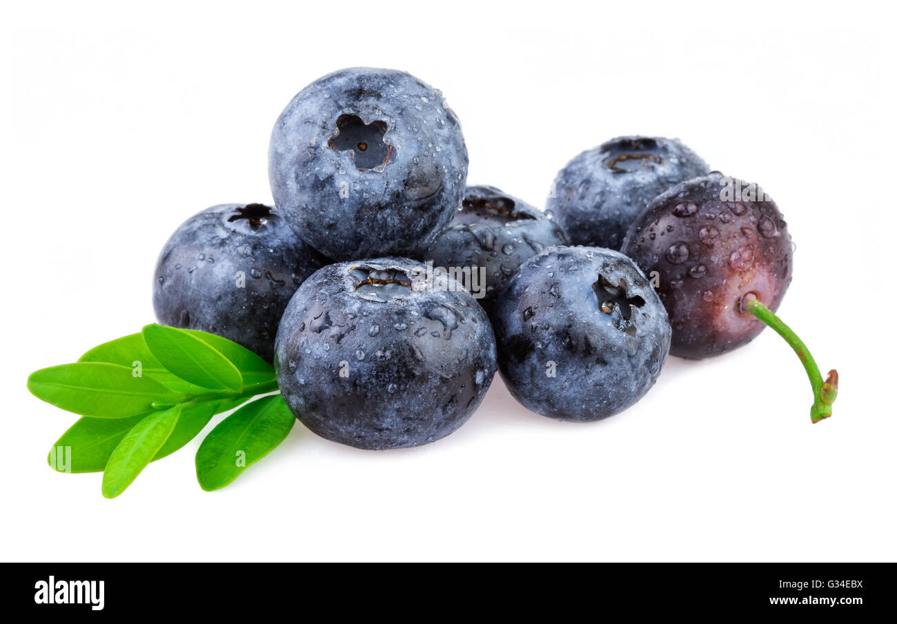 Blueberries on white, organic berries with leaves. Stock Photo