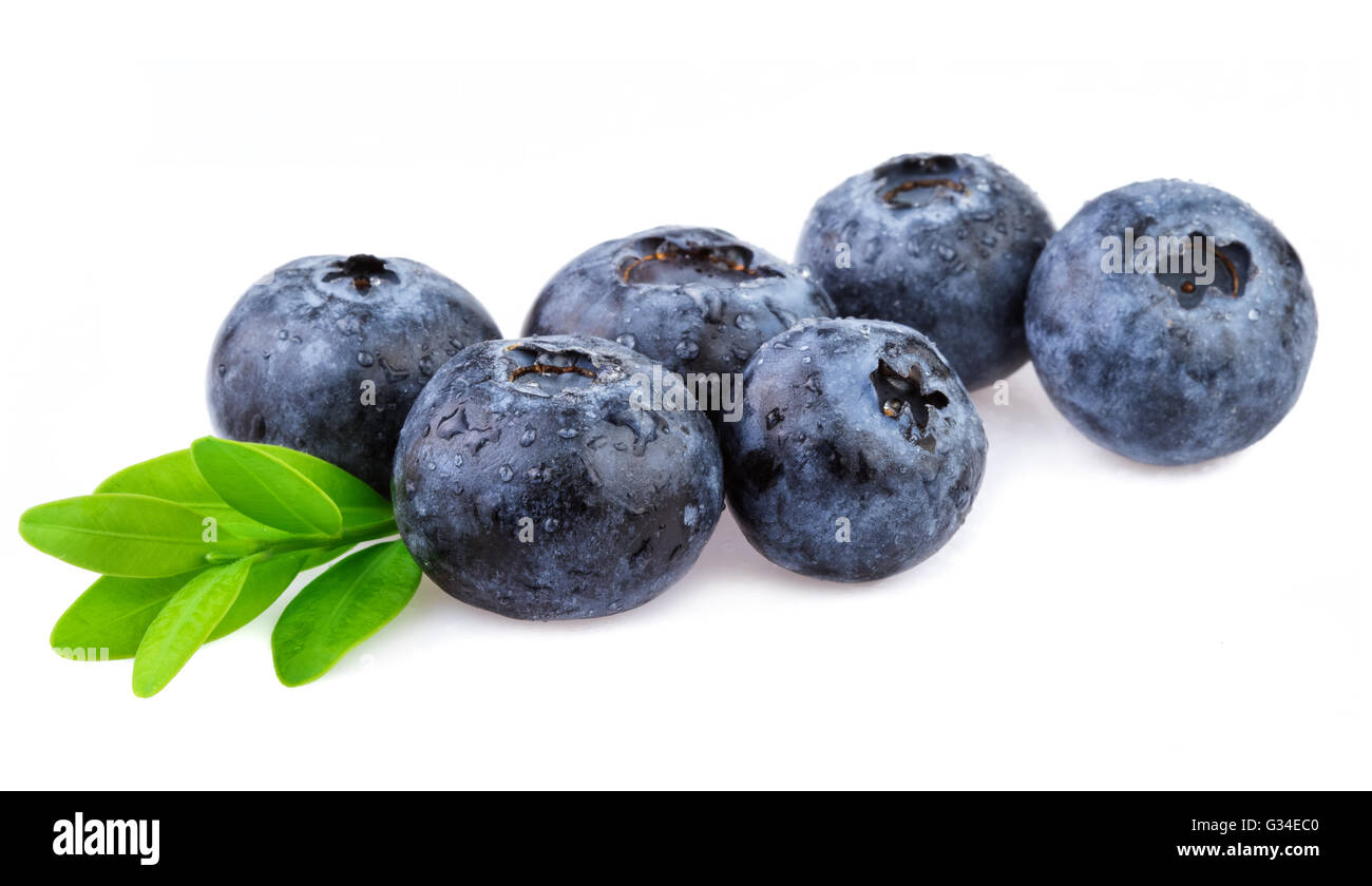 Blueberries with leaf isolated on white. Stock Photo