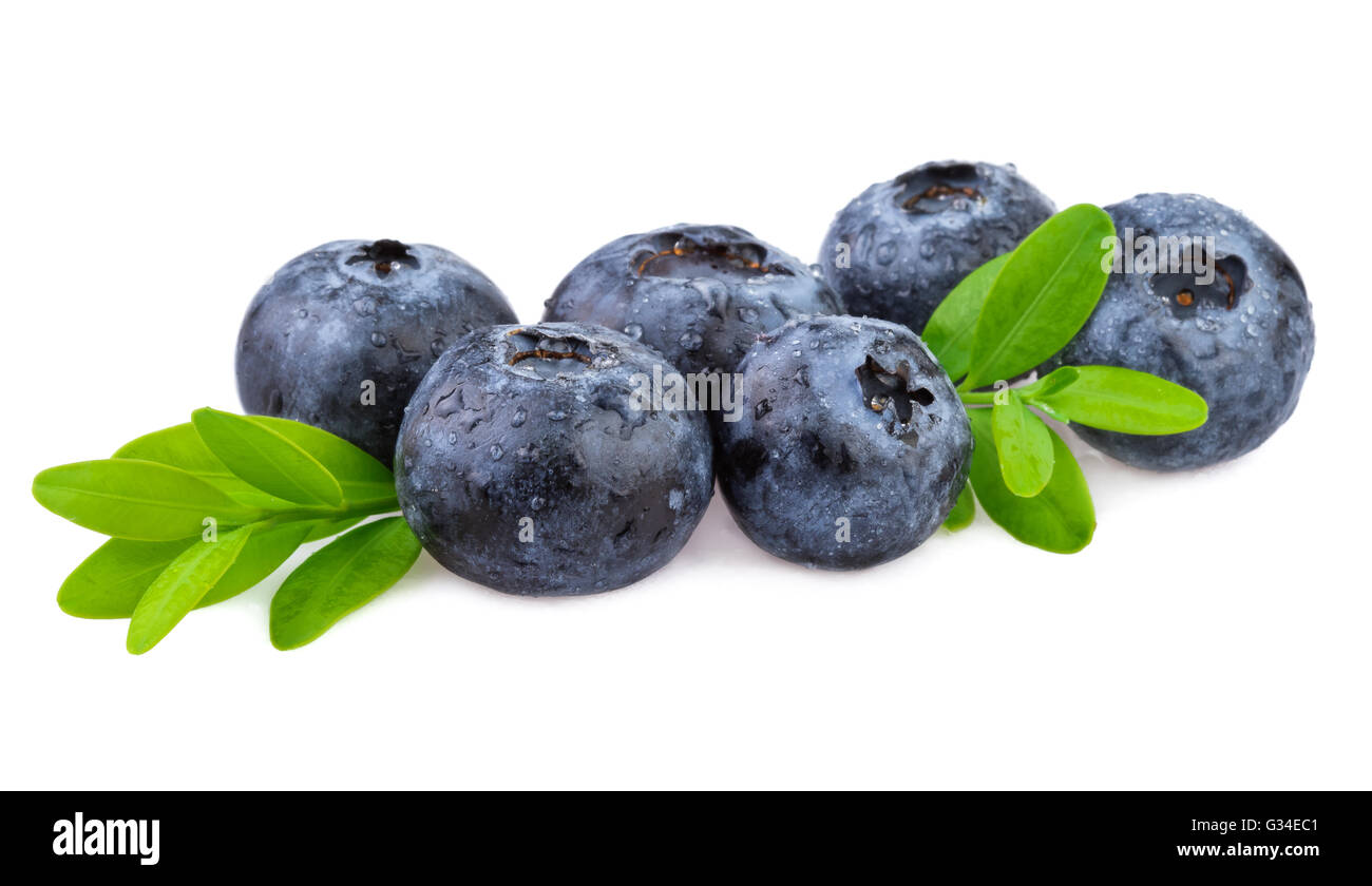 Blueberries on white. Organic blueberries with leaf isolated on white. Stock Photo