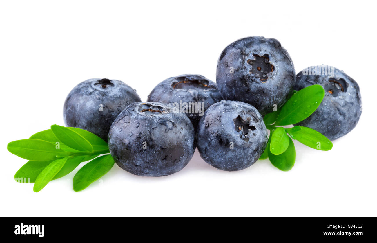 Blueberry on white. Organic blueberry with leaf isolated on white. Stock Photo