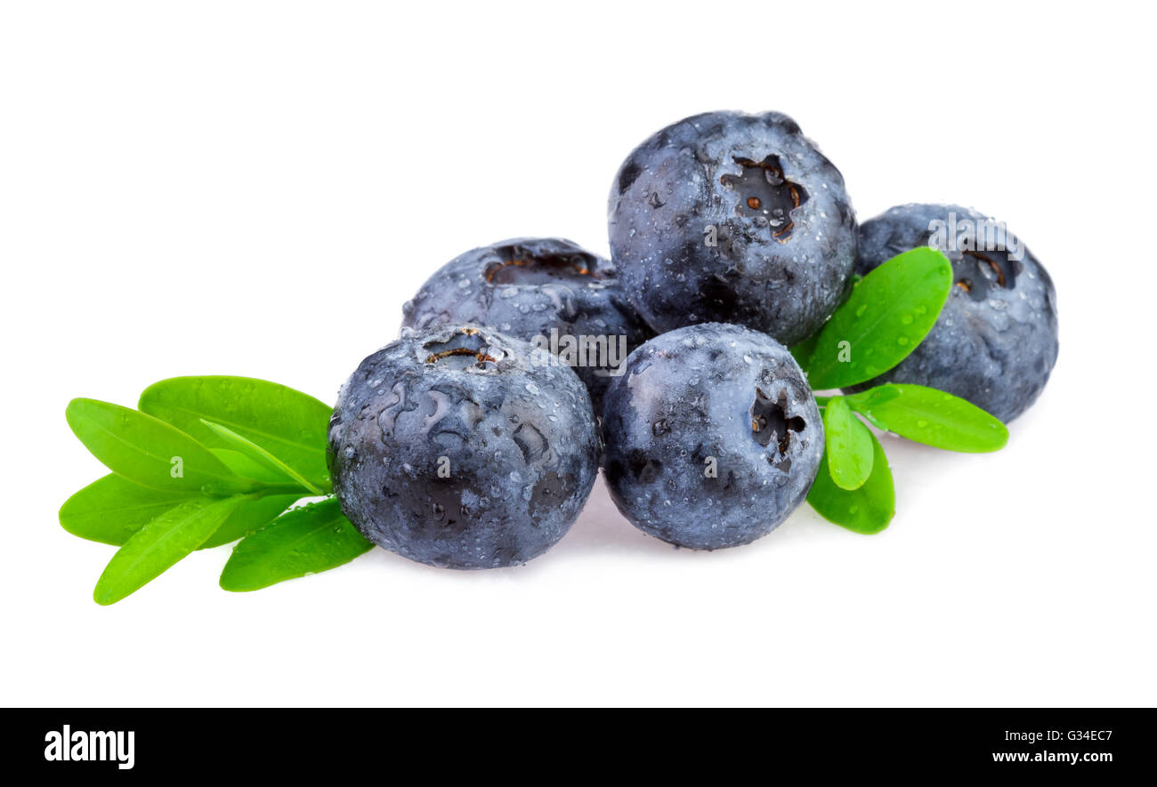Fresh Blueberry. Organic blueberry isolated on white background. Stock Photo