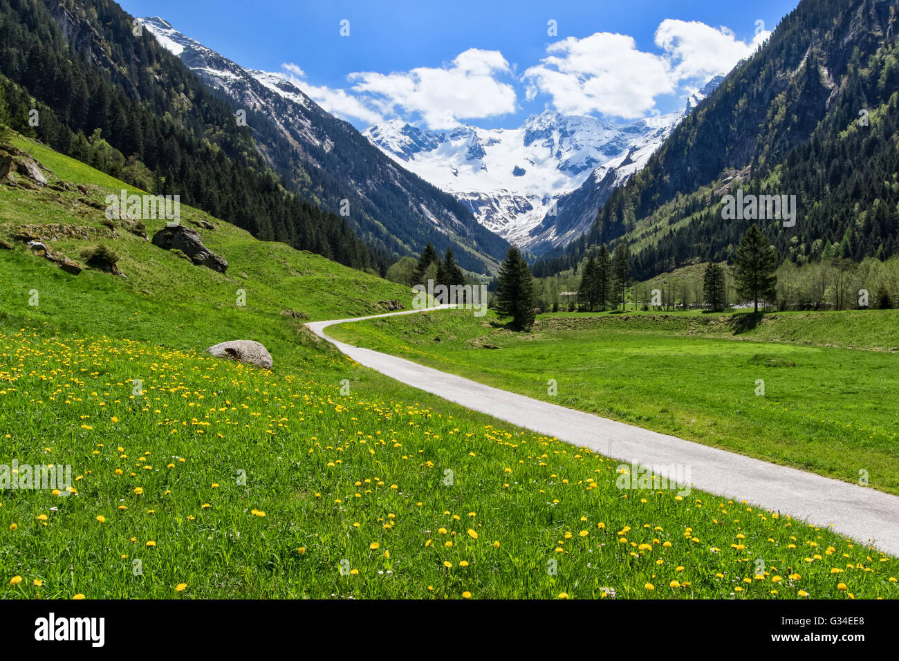 Path through spring mountain landscape near Stillup, Austria, Tirol. Stock Photo