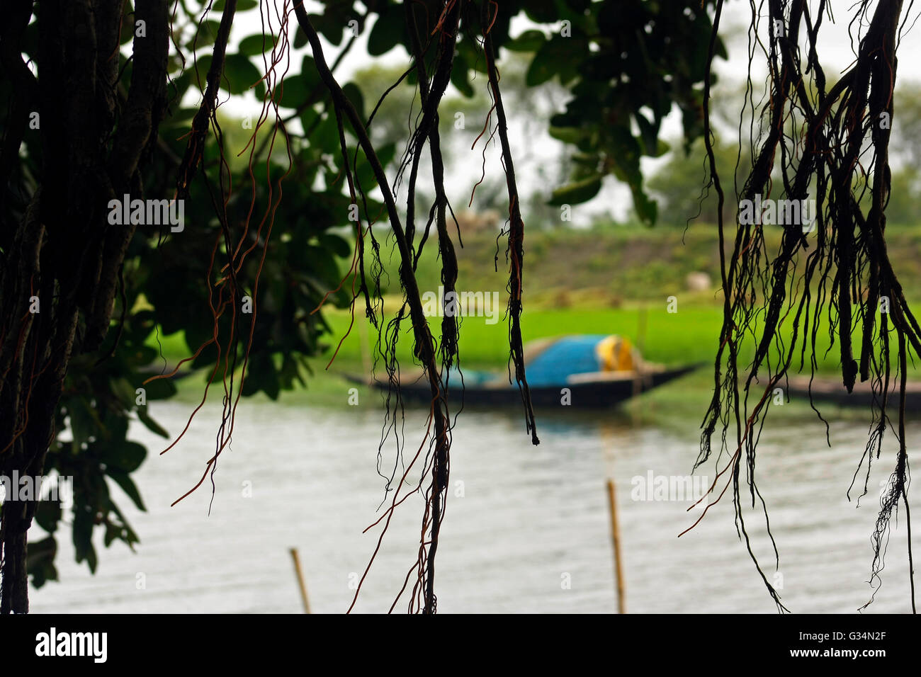 The climate of West Bengal varies from tropical savannah in the