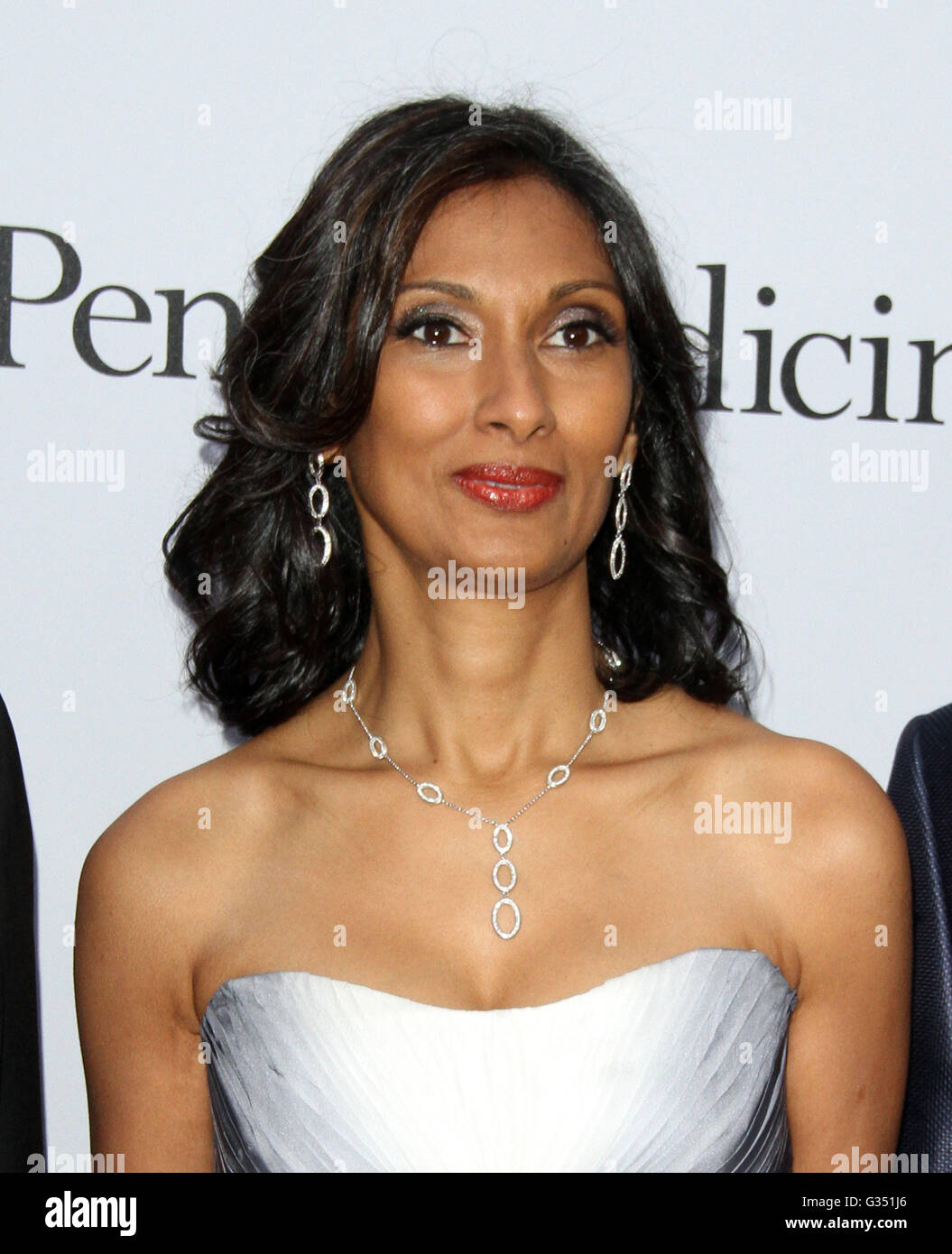 Sean Parker and the Parker Foundation Celebrate the Launch of The