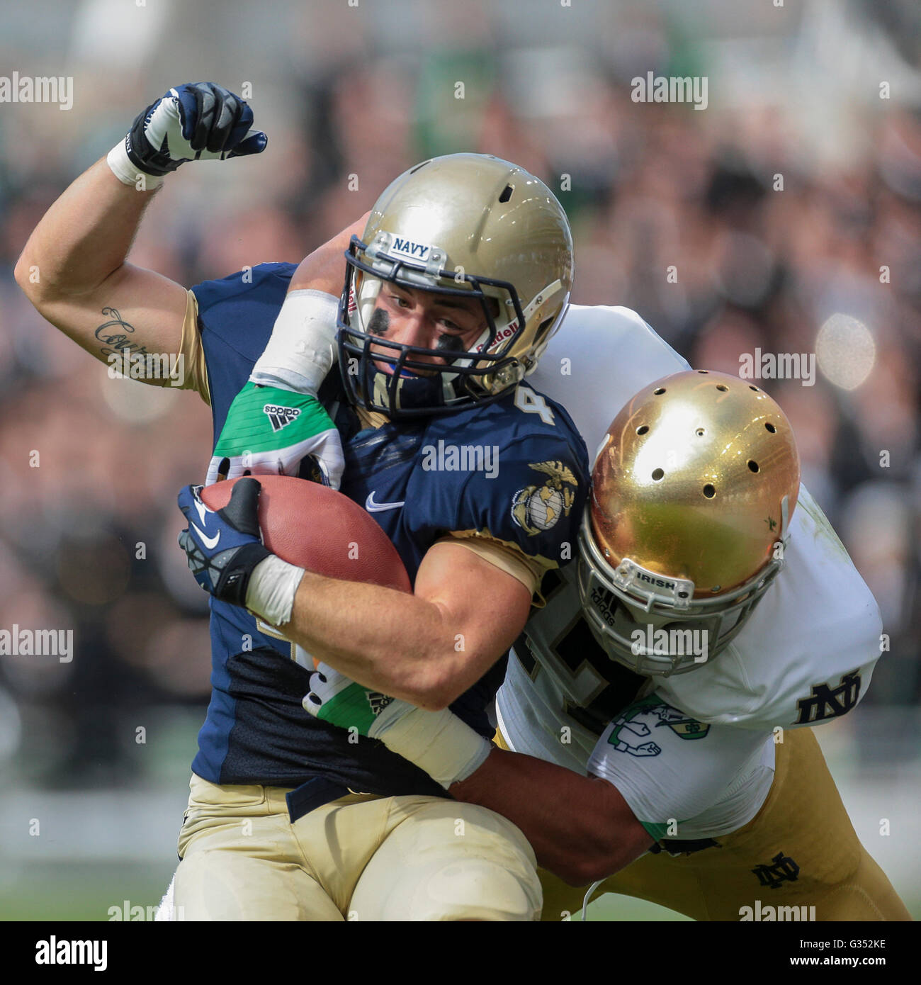 RB Bo Snelson, #4 Navy, is tackled during the NCAA football game between the Navy and the Notre Dame on September 1 Stock Photo