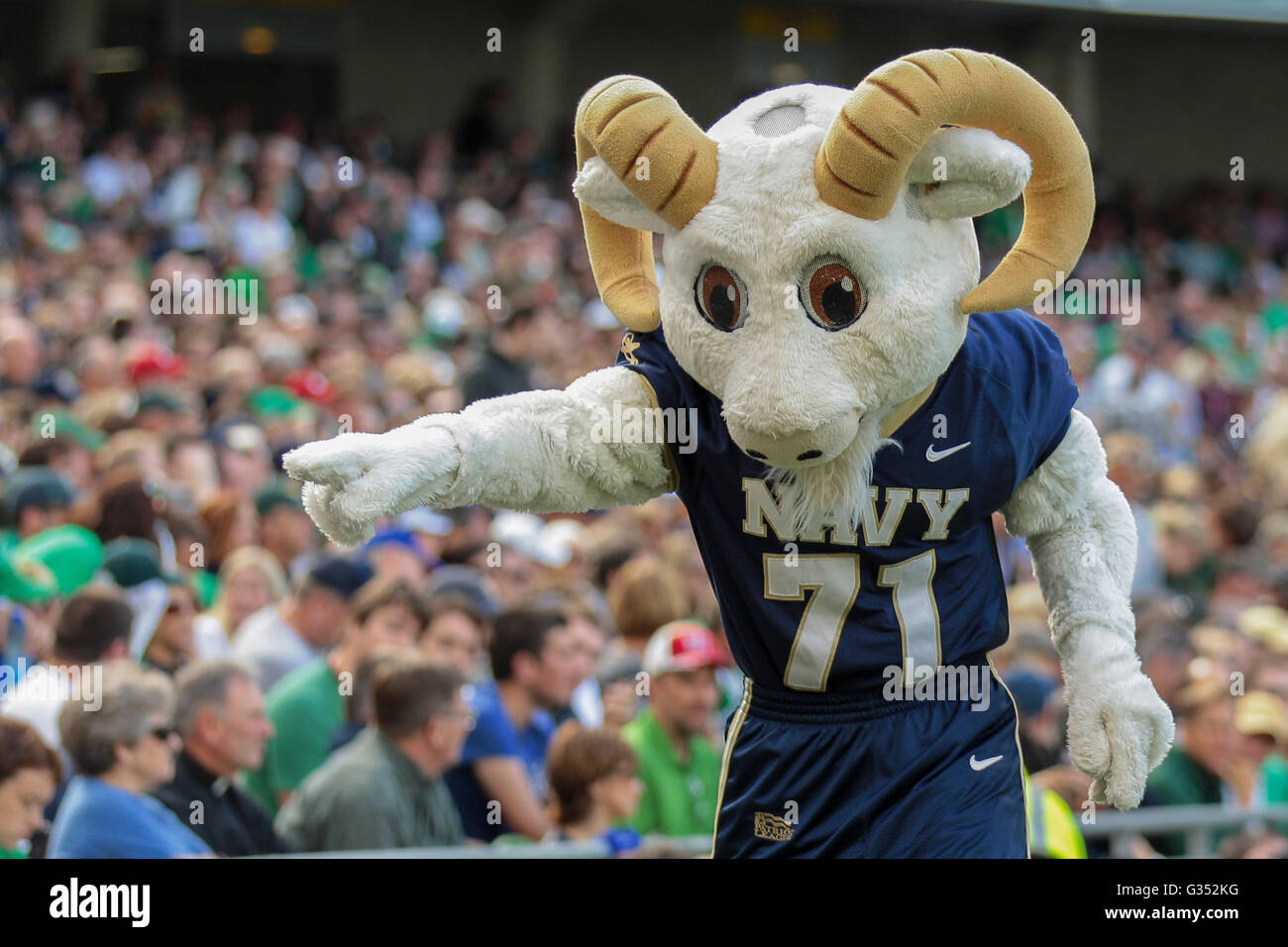 Navy's macott, Billy the Goat, interacts with fans during the NCAA football game between the Navy and the Notre Dame on Stock Photo