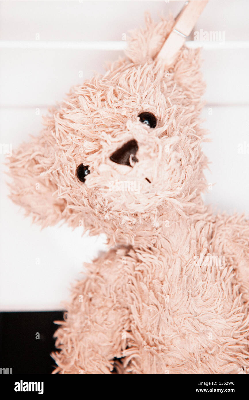 Wet teddy bear drying on clothesline Stock Photo Alamy