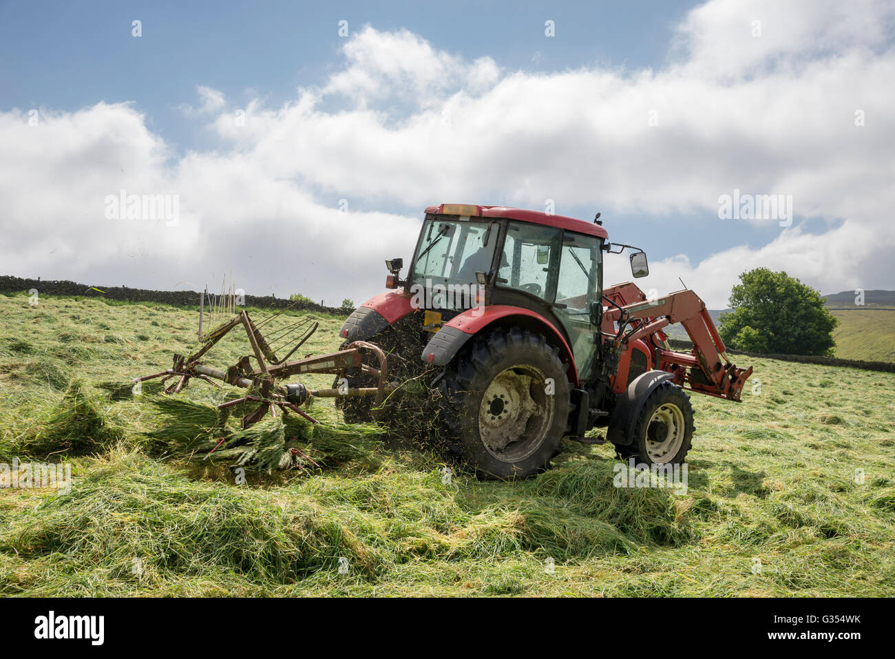 A red tractor turning grass to dry in a summer hay meadow in the