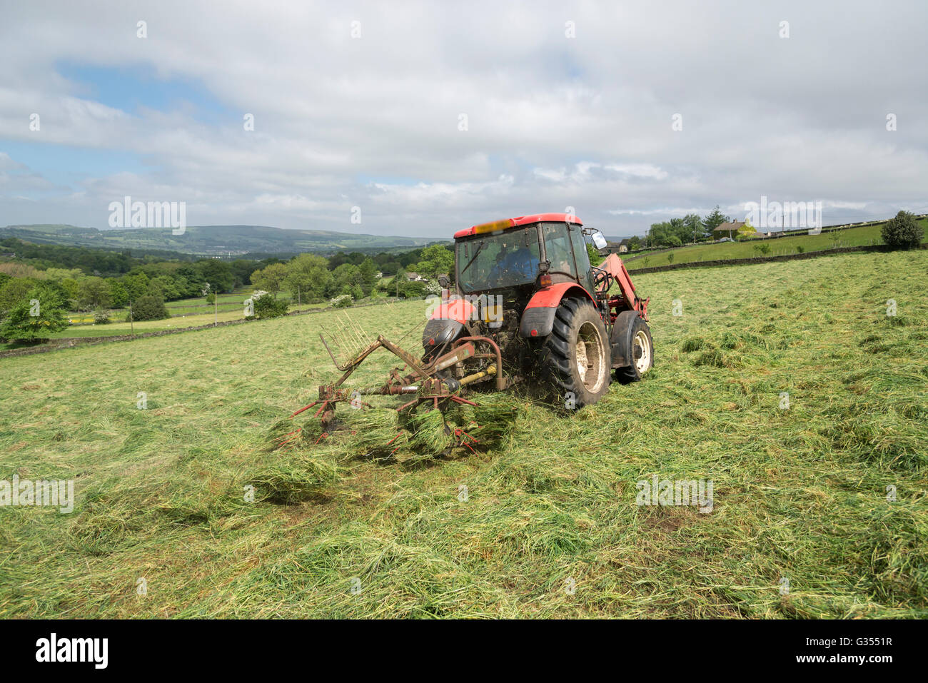 A red tractor turning grass to dry in a summer hay meadow in the