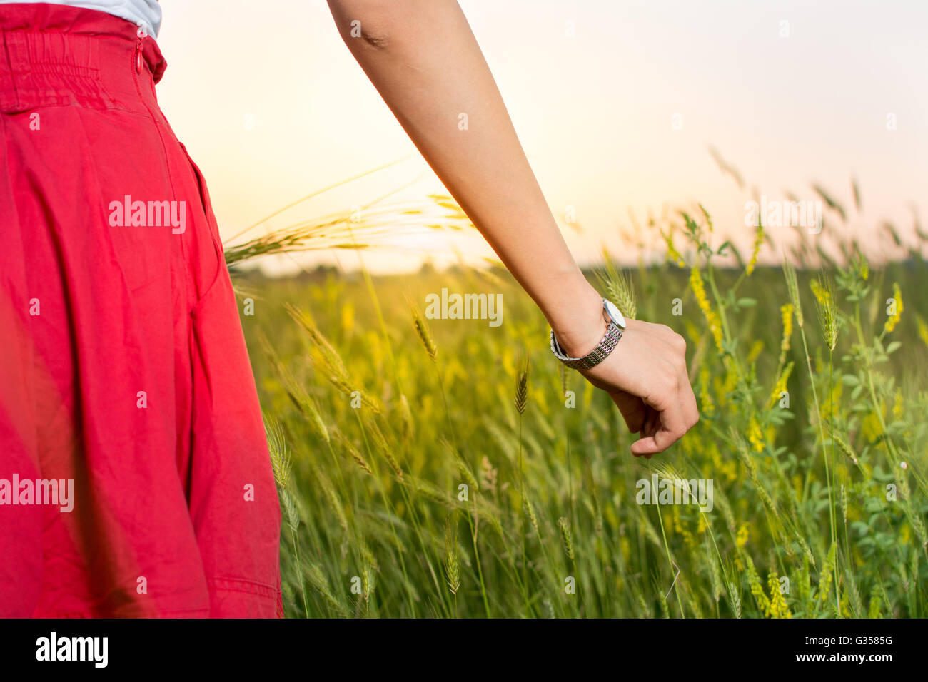 Young woman in a wheat field at sunset Stock Photo